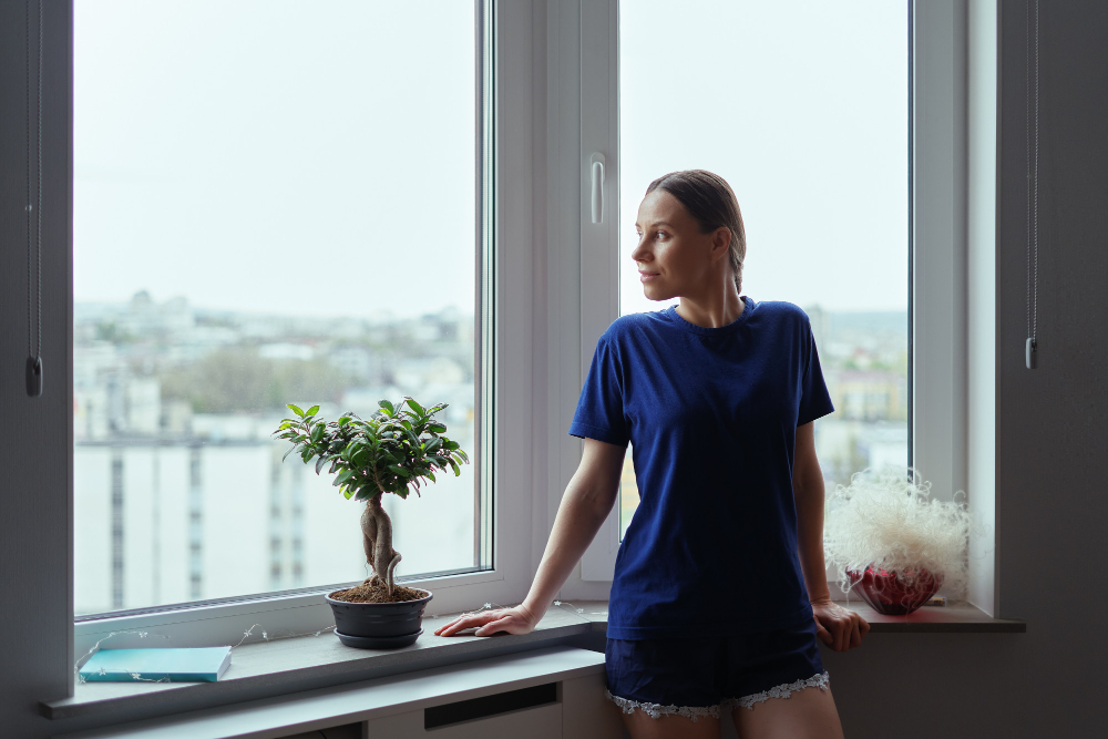 Salt Lake City Window Styles